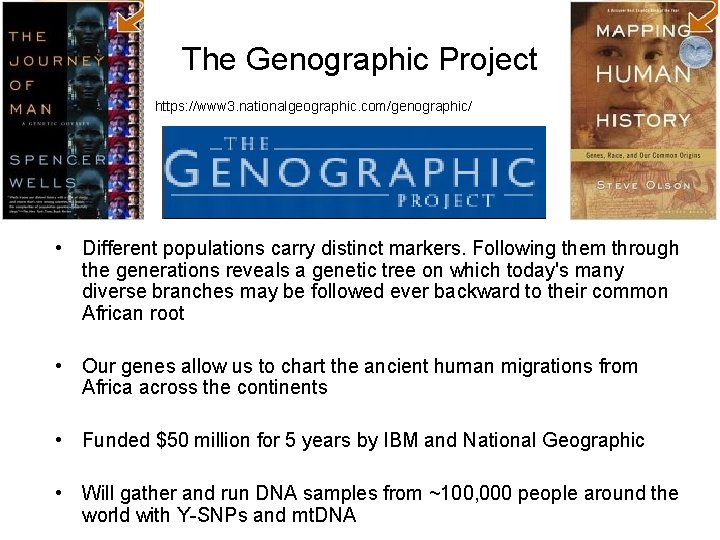 The Genographic Project https: //www 3. nationalgeographic. com/genographic/ • Different populations carry distinct markers.