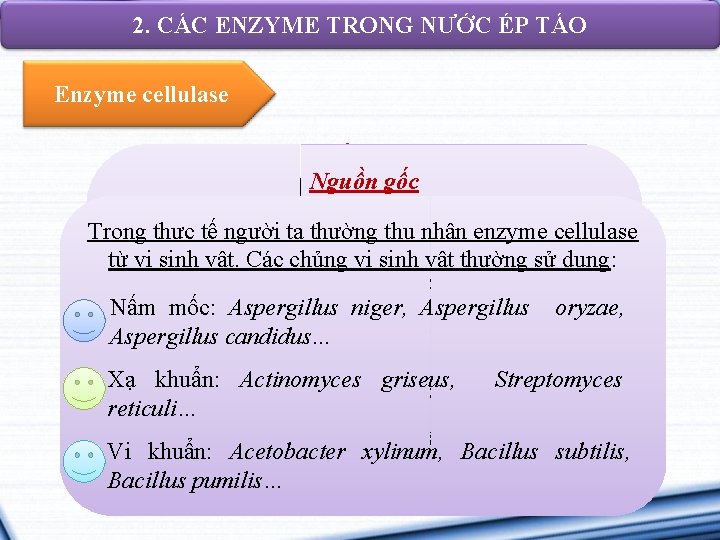 2. CÁC ENZYME TRONG NƯỚC ÉP TÁO Enzyme cellulase Cấu trúc Nguồn gốc Được