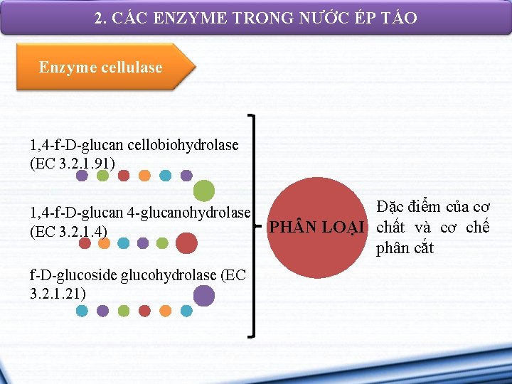 2. CÁC ENZYME TRONG NƯỚC ÉP TÁO Enzyme cellulase 1, 4 -f-D-glucan cellobiohydrolase (EC