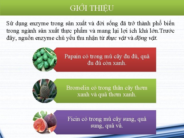 GIỚI THIỆU Sử dụng enzyme trong sản xuất và đời sống đã trở thành