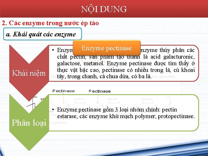 NỘI DUNG 2. Các enzyme trong nước ép táo a. Khái quát các enzyme