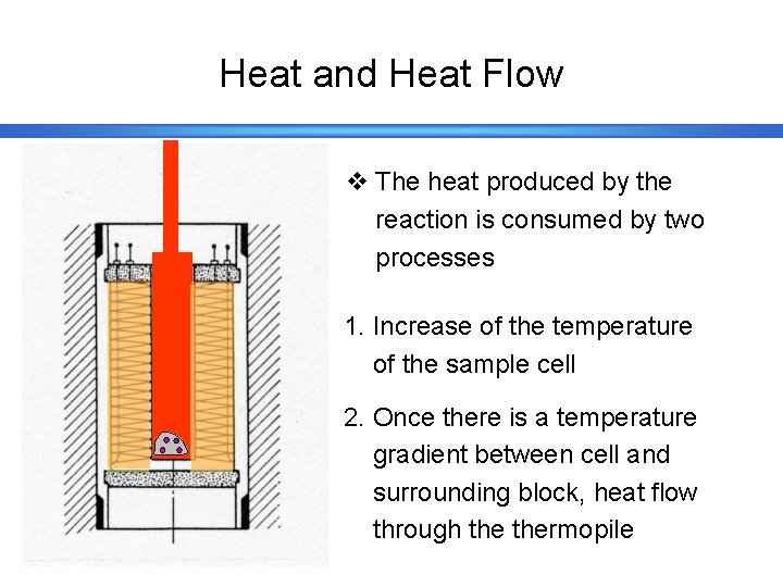 Heat and Heat Flow v The heat produced by the reaction is consumed by