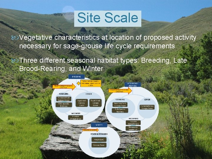 Site Scale Vegetative characteristics at location of proposed activity necessary for sage-grouse life cycle
