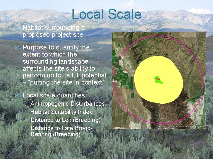 Local Scale Habitat surrounding a proposed project site Purpose to quantify the extent to