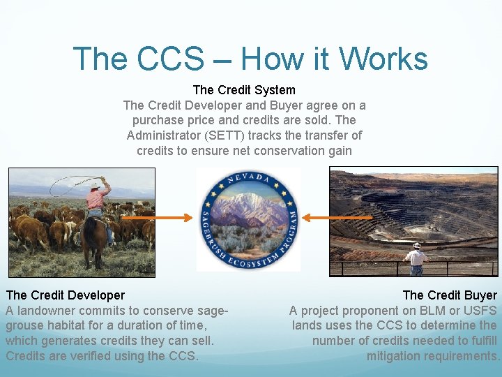 The CCS – How it Works The Credit System The Credit Developer and Buyer