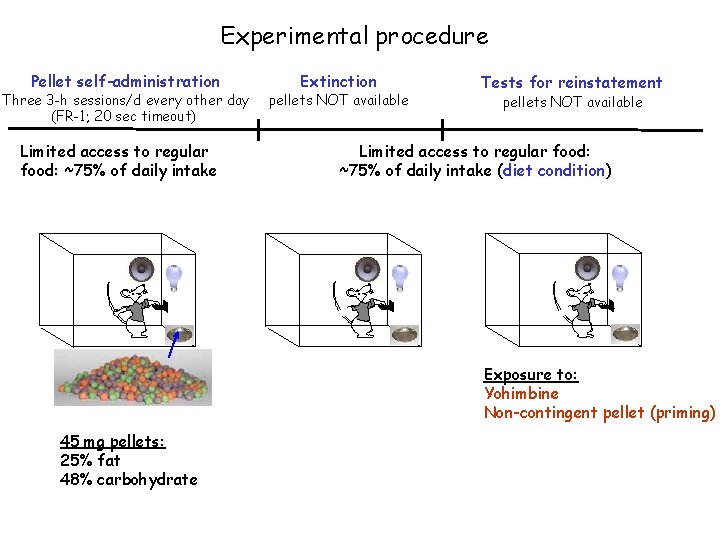 Experimental procedure Pellet self-administration Three 3 -h sessions/d every other day (FR-1; 20 sec