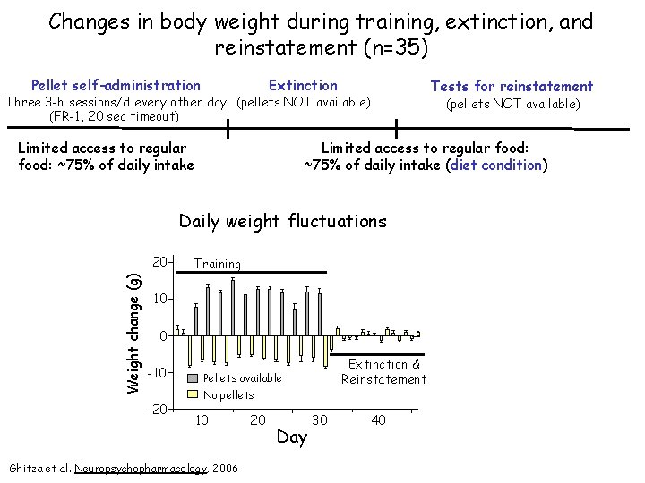 Changes in body weight during training, extinction, and reinstatement (n=35) Pellet self-administration Extinction Three