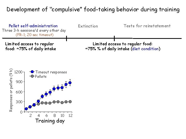 Development of “compulsive” food-taking behavior during training Pellet self-administration Extinction Three 3 -h sessions/d