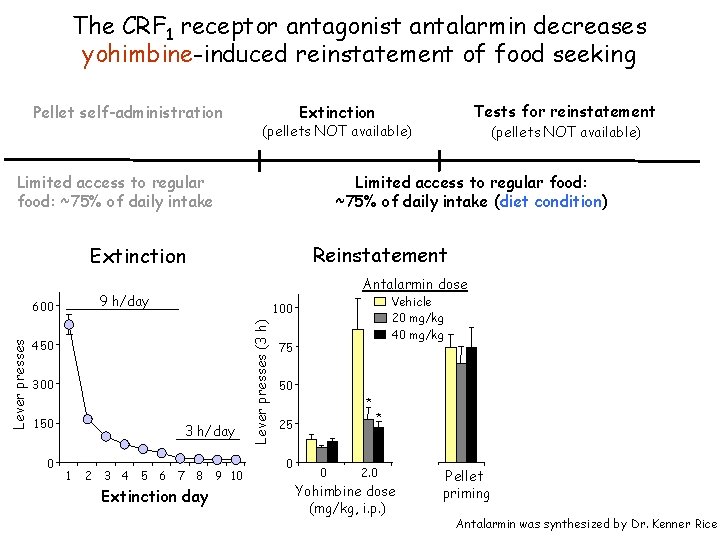 The CRF 1 receptor antagonist antalarmin decreases yohimbine-induced reinstatement of food seeking Pellet self-administration