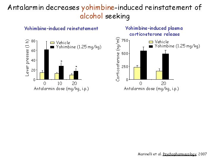 Antalarmin decreases yohimbine-induced reinstatement of alcohol seeking 80 60 40 20 0 Vehicle Yohimbine