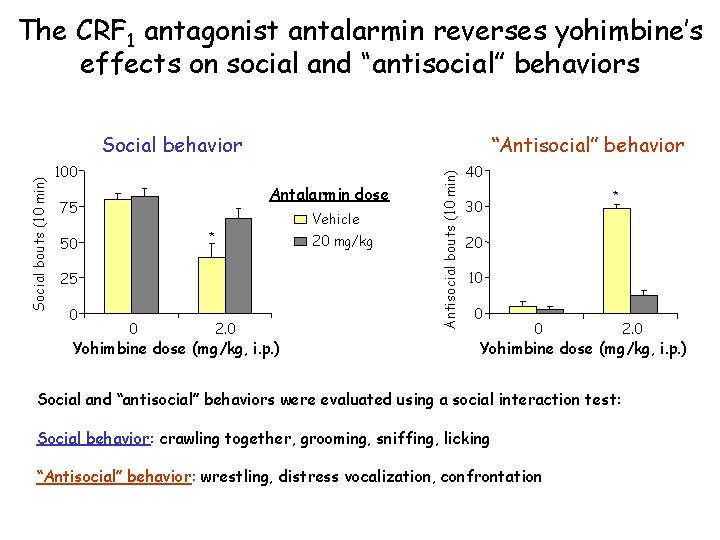 The CRF 1 antagonist antalarmin reverses yohimbine’s effects on social and “antisocial” behaviors “Antisocial”