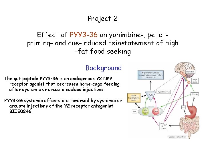 Project 2 Effect of PYY 3 -36 on yohimbine-, pelletpriming- and cue-induced reinstatement of