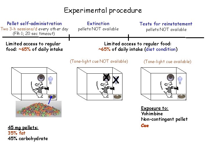 Experimental procedure Pellet self-administration Two 3 -h sessions/d every other day (FR-1; 20 sec