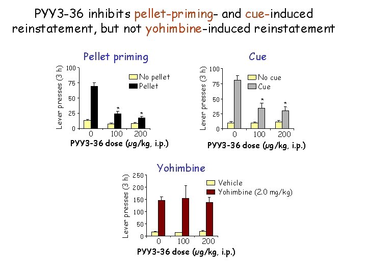 PYY 3 -36 inhibits pellet-priming- and cue-induced reinstatement, but not yohimbine-induced reinstatement Cue Lever