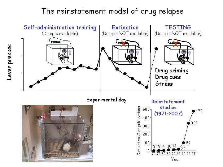 The reinstatement model of drug relapse Self-administration training (Drug is NOT available) X TESTING