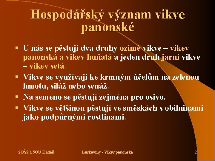 Hospodářský význam vikve panonské § U nás se pěstují dva druhy ozimé vikve –