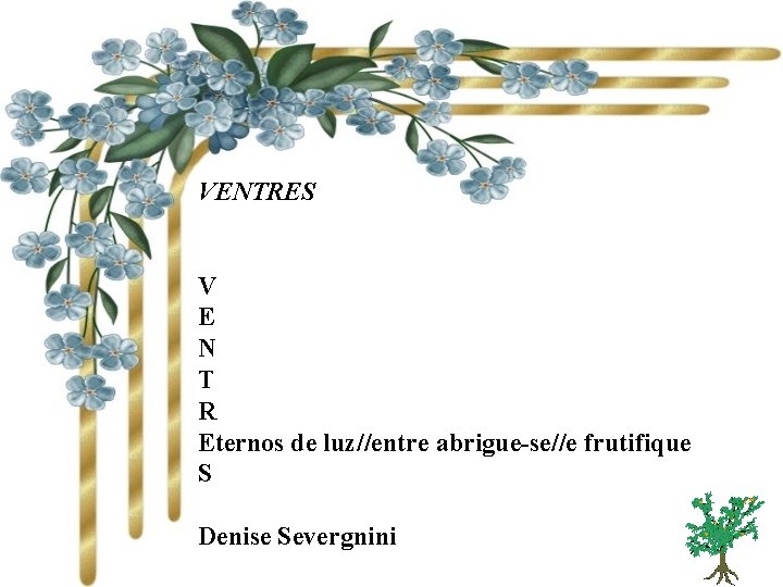 VENTRES V E N T R Eternos de luz//entre abrigue-se//e frutifique S Denise Severgnini