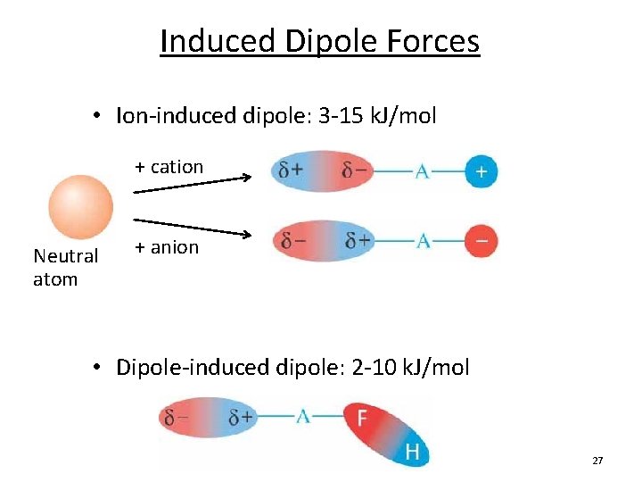 Induced Dipole Forces • Ion-induced dipole: 3 -15 k. J/mol + cation Neutral atom