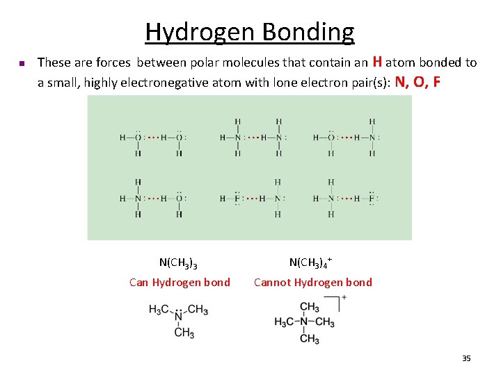 Hydrogen Bonding n These are forces between polar molecules that contain an H atom