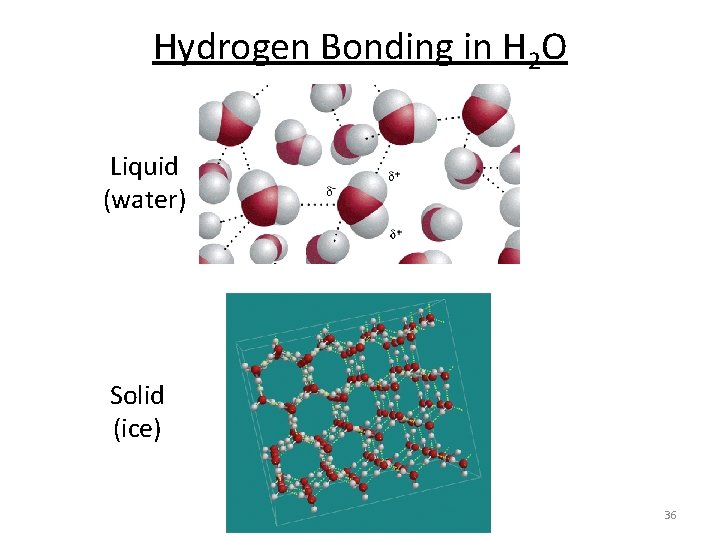 Hydrogen Bonding in H 2 O Liquid (water) Solid (ice) 36 