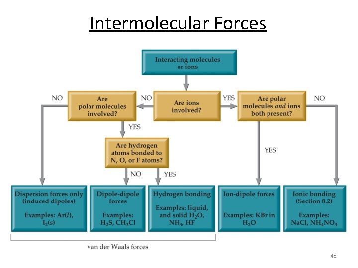 Intermolecular Forces 43 