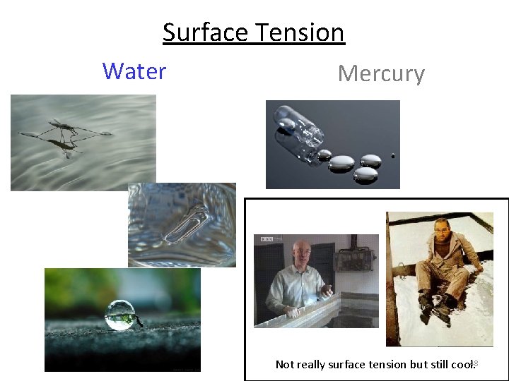 Surface Tension Water Mercury 48 Not really surface tension but still cool. 