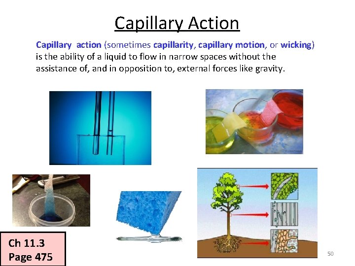 Capillary Action Capillary action (sometimes capillarity, capillary motion, or wicking) is the ability of