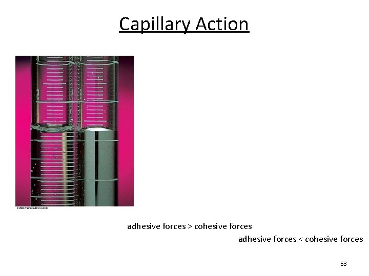 Capillary Action Water Concave meniscus Mercury: Convex meniscus adhesive forces > cohesive forces adhesive