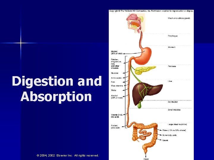 Digestion and Absorption © 2004, 2002 Elsevier Inc. All rights reserved. 