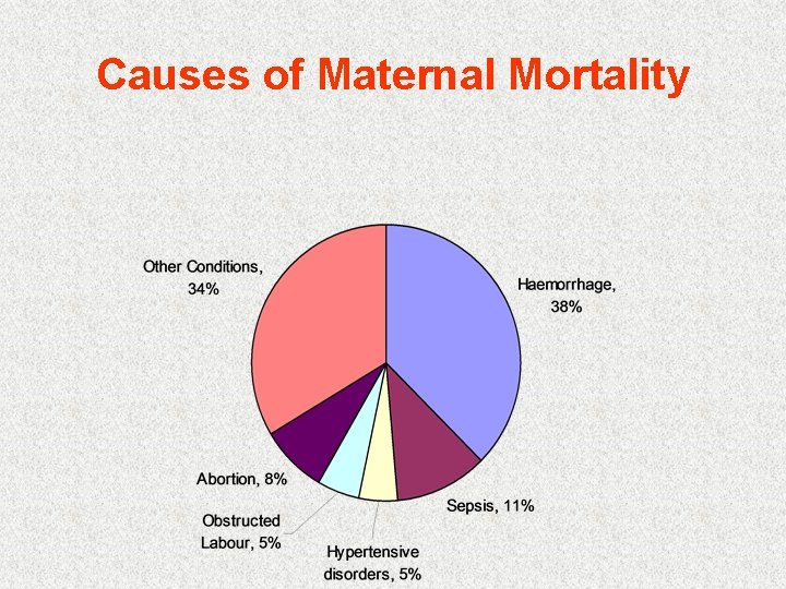 Causes of Maternal Mortality 