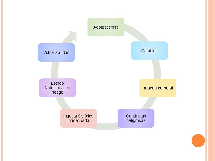 Adolescencia Vulnerabilidad Estado Nutricional en riesgo Ingesta Calórica inadecuada Cambios Imagen corporal Conductas peligrosas