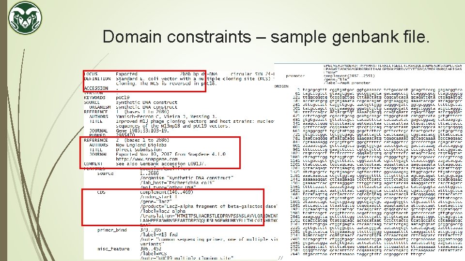 Domain constraints – sample genbank file. 