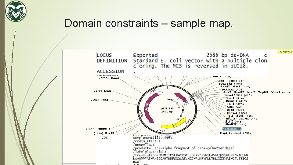 Domain constraints – sample map. 