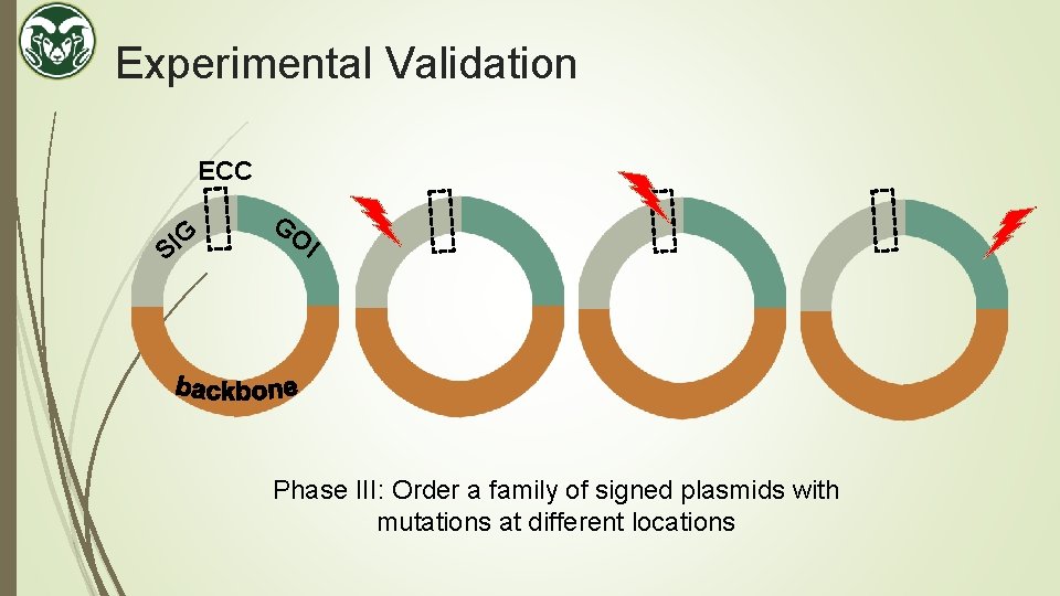 Experimental Validation ECC G I S GO I Phase III: Order a family of