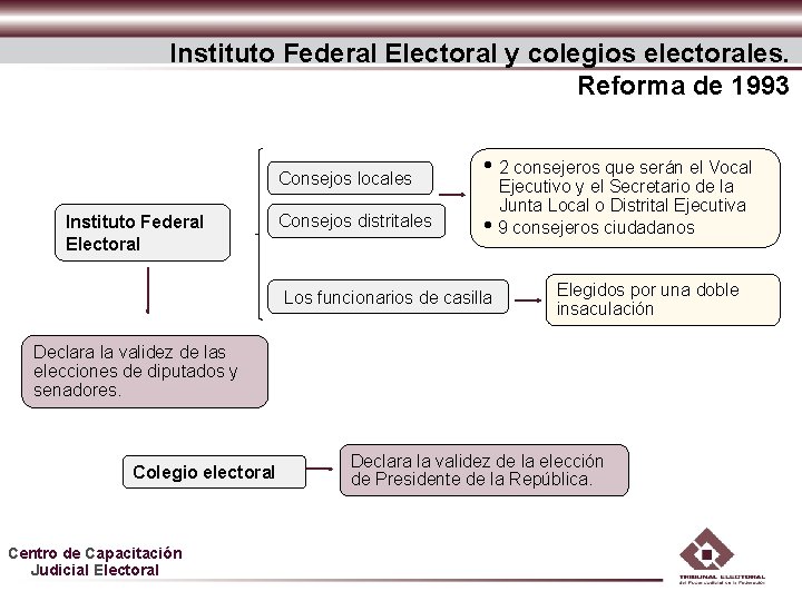 Instituto Federal Electoral y colegios electorales. Reforma de 1993 Consejos locales Instituto Federal Electoral Instituto Federal Electoral y colegios electorales. Reforma de 1993 Consejos locales Instituto Federal Electoral