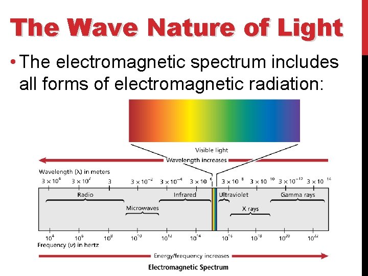 The Wave Nature of Light • The electromagnetic spectrum includes all forms of electromagnetic