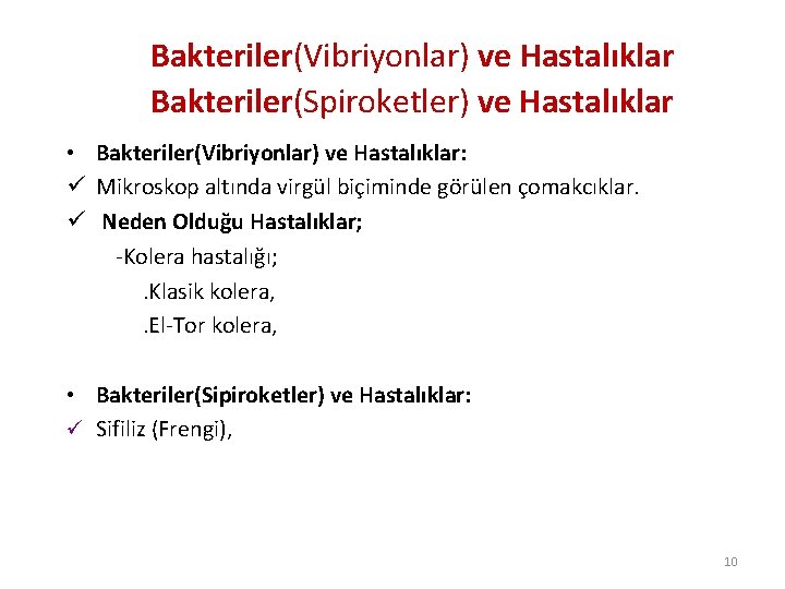 Bakteriler(Vibriyonlar) ve Hastalıklar Bakteriler(Spiroketler) ve Hastalıklar • Bakteriler(Vibriyonlar) ve Hastalıklar: ü Mikroskop altında virgül