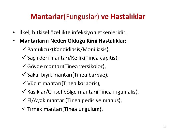 Mantarlar(Funguslar) ve Hastalıklar • İlkel, bitkisel özellikte infeksiyon etkenleridir. • Mantarların Neden Olduğu Kimi