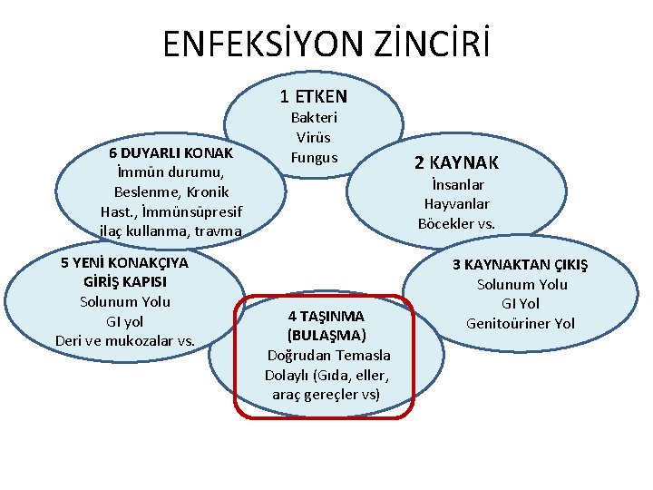 ENFEKSİYON ZİNCİRİ 1 ETKEN 6 DUYARLI KONAK İmmün durumu, Beslenme, Kronik Hast. , İmmünsüpresif