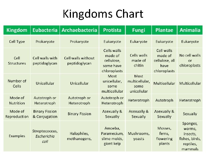 Kingdoms Chart 