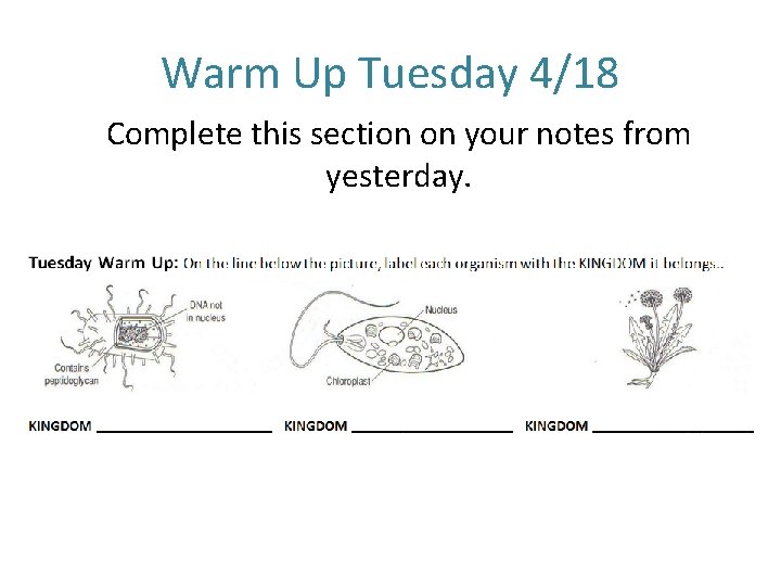 Warm Up Tuesday 4/18 Complete this section on your notes from yesterday. 
