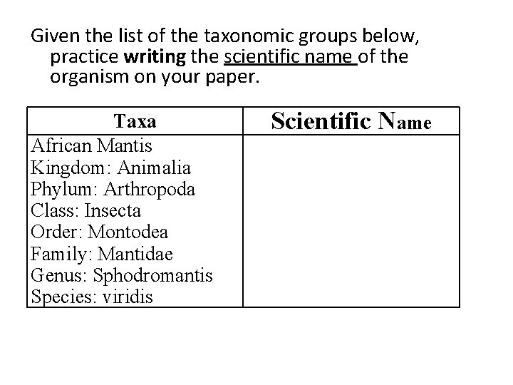 Given the list of the taxonomic groups below, practice writing the scientific name of