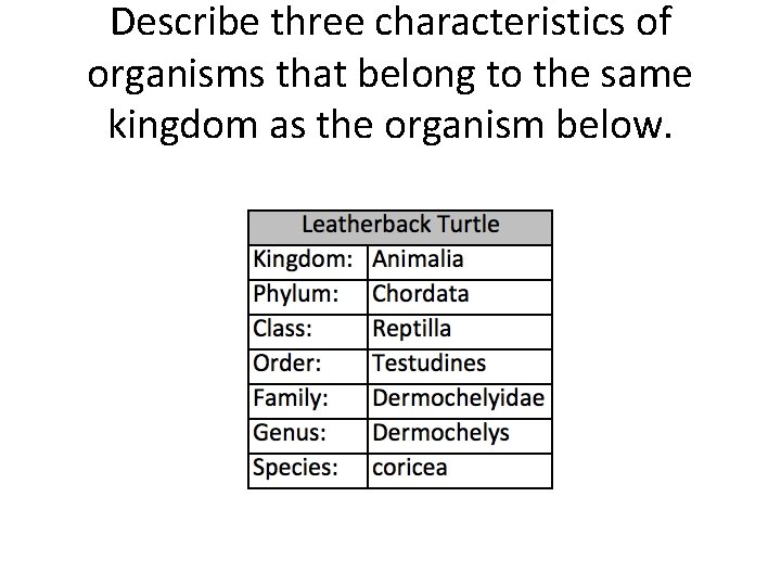 Describe three characteristics of organisms that belong to the same kingdom as the organism