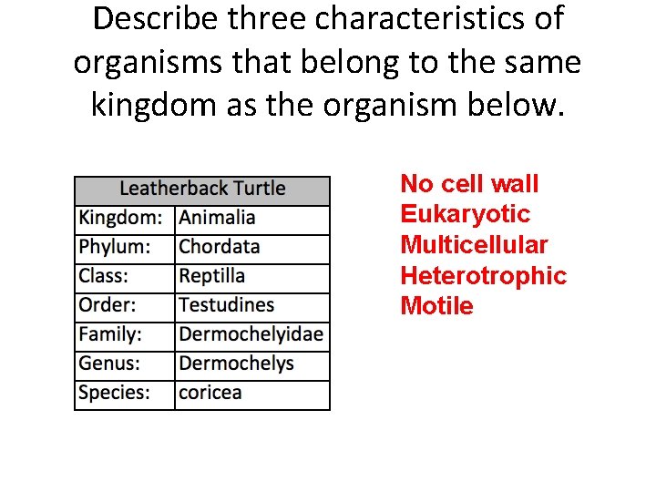 Describe three characteristics of organisms that belong to the same kingdom as the organism