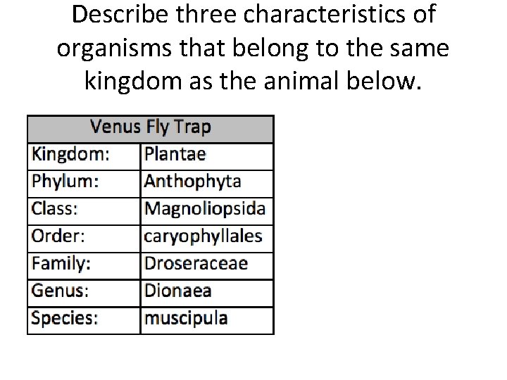 Describe three characteristics of organisms that belong to the same kingdom as the animal