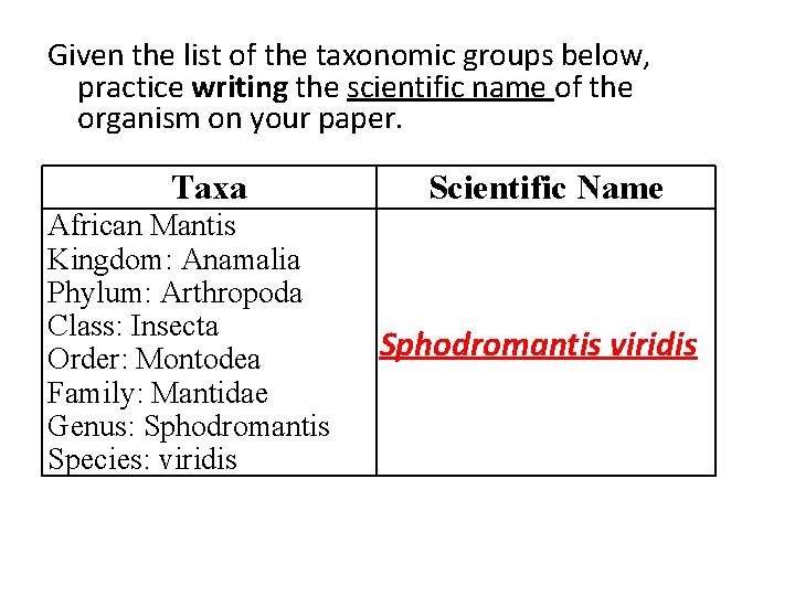 Given the list of the taxonomic groups below, practice writing the scientific name of