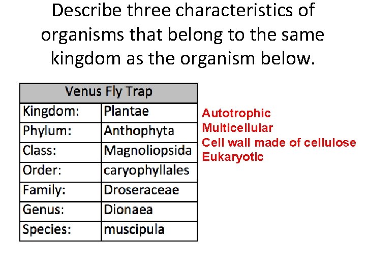 Describe three characteristics of organisms that belong to the same kingdom as the organism