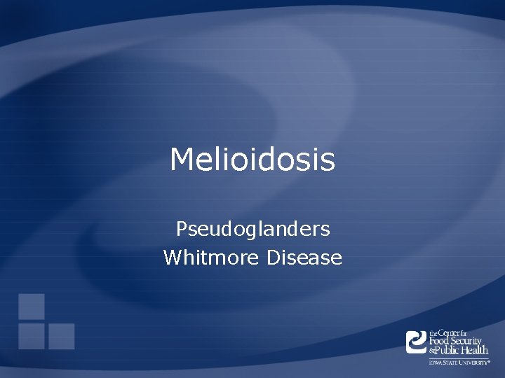 Melioidosis Pseudoglanders Whitmore Disease 