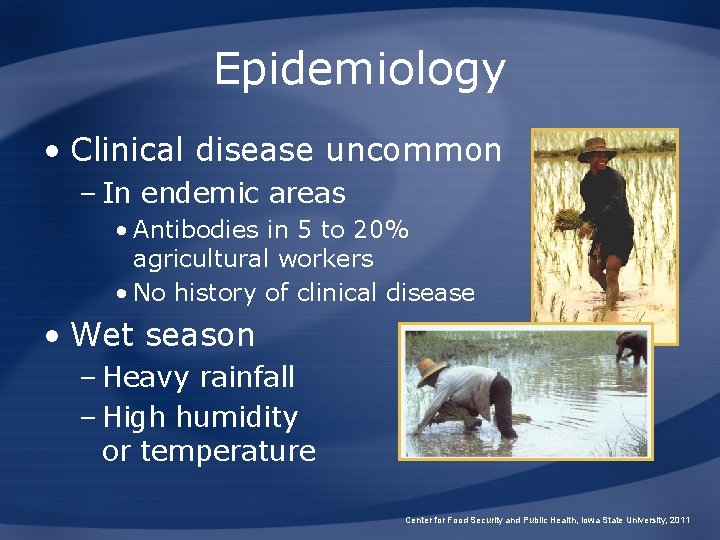 Epidemiology • Clinical disease uncommon – In endemic areas • Antibodies in 5 to