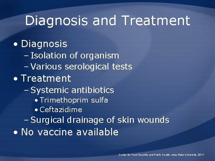 Diagnosis and Treatment • Diagnosis – Isolation of organism – Various serological tests •